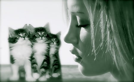 so sweet - white, people, cats, photography, black