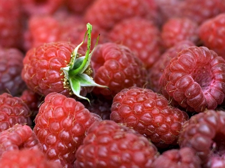 Raspberries - berries, ripe the leaves, raspberry, food, berry, raspberries, leaves