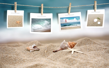 Photography - beach, photography, shells, summer, shell, sand