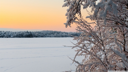 Lake Littoistenjarvi - frosty, branch, sun, sunset, mountains, frosted, frozen, scene, ice, lake, sunlight, landscape, light, winter, wallpaper, hd, nature, forest, dawn, snow, frost, sunrise