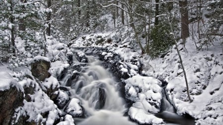 rocky forest river in winter - forest, rocks, winter, rapids, river