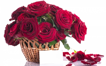 Basket of roses - white, red, petals, day, valentine, basket, rose, flower