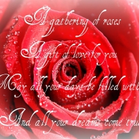 Rose Poem