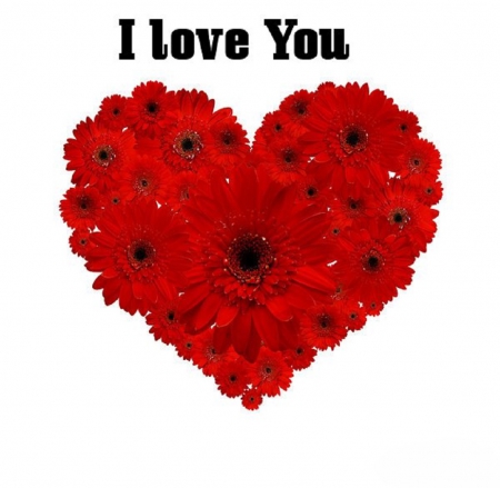 I Love You - Red, Love, Heart, Flowers