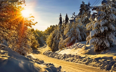 Winter - road, sunsed, winter, forest