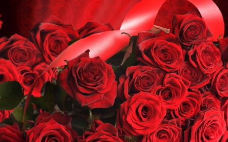 Red Roses!