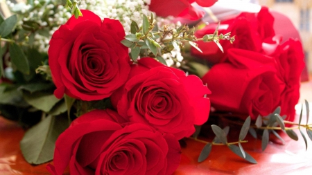 Lovely Red Roses! - flowers, roses, nature, red, lovely