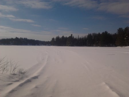 ~~; Old sled trails onto Loon Call Lake ;~~ - trees, winter, nature, snow, lake