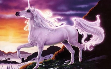 dreamy unicorn - proud, long, sad, hair