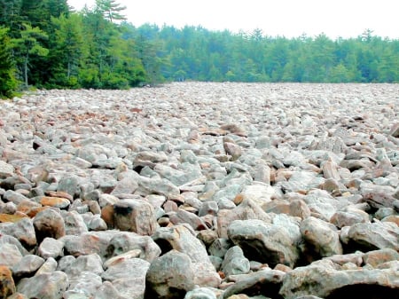 boulder field..Pocono Mountains Pa. - mountains, summer, pocono, rocks