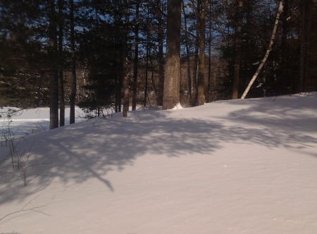 ~~; snowscape ;~~ - snow, winter, nature, Loon Call lake