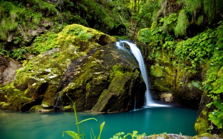 Forest waterfall - greenery, waterfall, rocks, serenity, nature, calm, quiet, fall, forest, beautiful, emerald, grass