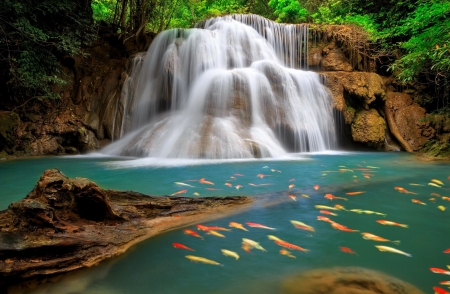 Lovely waterfall - greenery, pretty, cascades, beautiful, fishes, forest, lovely, fall, waterfall, nice, emerald, rocks