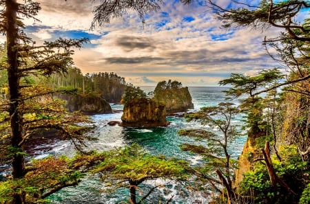 Coast - nature, ocean, coast, rocks