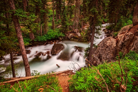 Wild River - river, forest, nature, wild