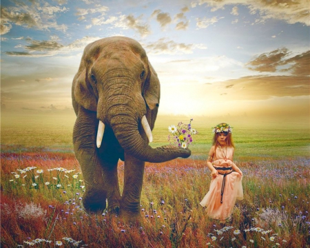 My friend - fields, elephant, girl, fantasy