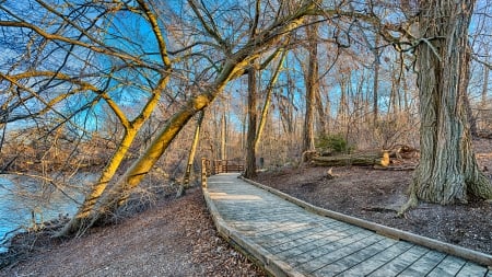 lovely boardwalk by a river in late fall hdr - autumn, forest, river, boardwak, hdr