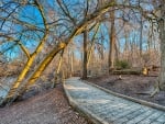 lovely boardwalk by a river in late fall hdr