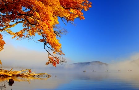 AUTUMN MIST - branch, boat, leaves, tree, nature, autumn, mist, lake, mountains