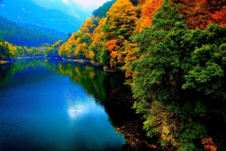 AUTUMN RIVER - autumn, trees, bank, forest, river