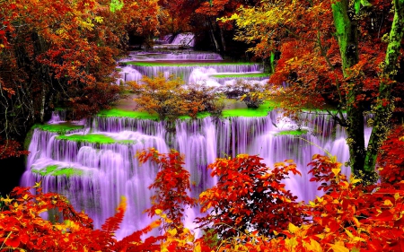 AUTUMN CASCADE - forest, nature, cascade, autumn