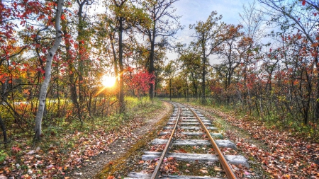 old train track in autumn at sunrise hdr - tracks, autumn, hdr, sunrise, forest, leaves