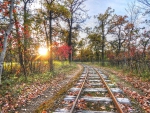 old train track in autumn at sunrise hdr