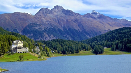 lake in beautiful st. moritz switzerland in summer - shore, lodge, lake, forest, mountain