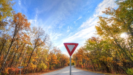 yield sign on a country road in autumn - autumn, forest, road, signs