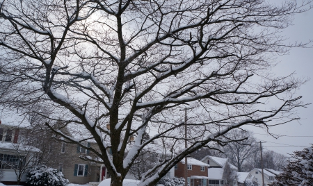 Frigid Winter Day - cold day, ohio winter, polar vortex, frigid winter day, winter day