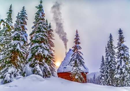 Winter - snowflakes, splendor, snow, photo, sky, sun, trees, winter, beautiful, photography, lovely, tree, wonderful, ice, nature, snowflake, cold