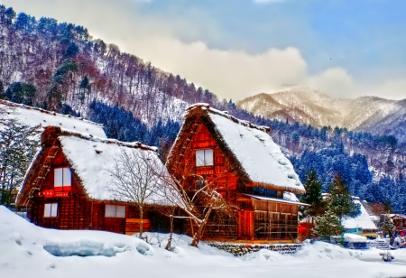 Winter - snowflakes, splendor, snow, photo, sky, sun, trees, winter, beautiful, photography, lovely, tree, wonderful, ice, nature, snowflake, cold