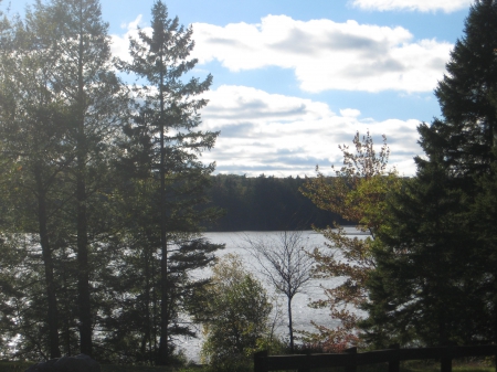 Soft Evening Sky - clouds, lake, trees, sky