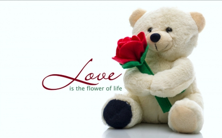 Love is the Flower of Life - Rose, Teddy Bear, Valentine, Flower, Abstract