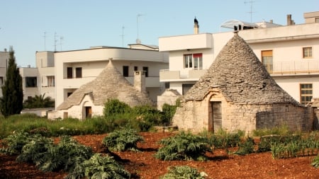 House - photo, house, land, hut