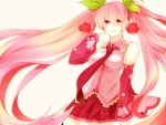 ~Sakura Miku~