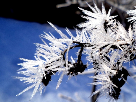 Ice spears. - winter, nature, fields, others