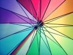 Colourful Umbrella