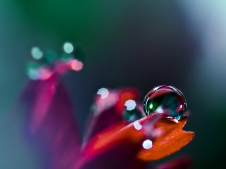 Colours - colours, flower, bubble, colourful