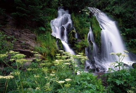 Cascading Waterfall Umpqua National Forest Oregon - umpqua, falls, forest, park, cascading, national