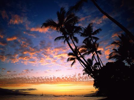 After Glow Hawaii - sunset, maui, nature, tropical, beaches, paradise, hawaii, ocean