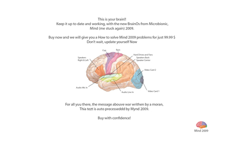 Run Mind 2009 on your brain. - fun, hot, window, run, cool, funny, joke, operate, system, nice, games, os, technology, new