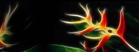 Fractalius Flower - digital art, fractalius, flower, fractal