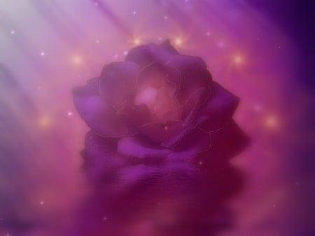 Blessings - digital art, rose, fantasy, flower