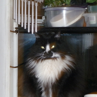 Mitzy Ann