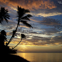 Sunset In Fiji