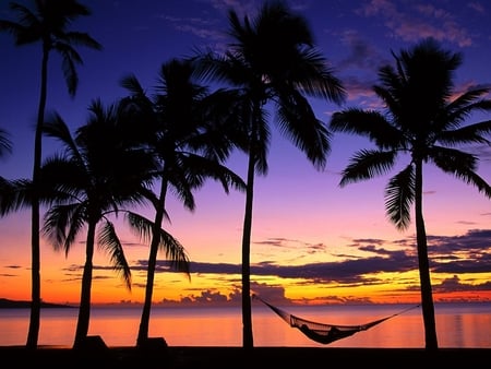 Denarau Island Fiji - beach, palm trees, island, tropical, fiji, sunset