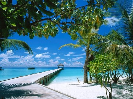 Walkway To A Paradise - nature, beach, tropical, paradise