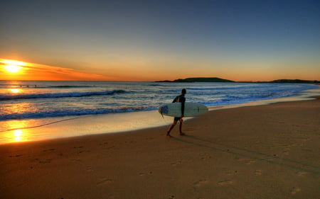 Morning Surfing - surfing, beach, ocean, sunrise