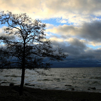 Stormy shore